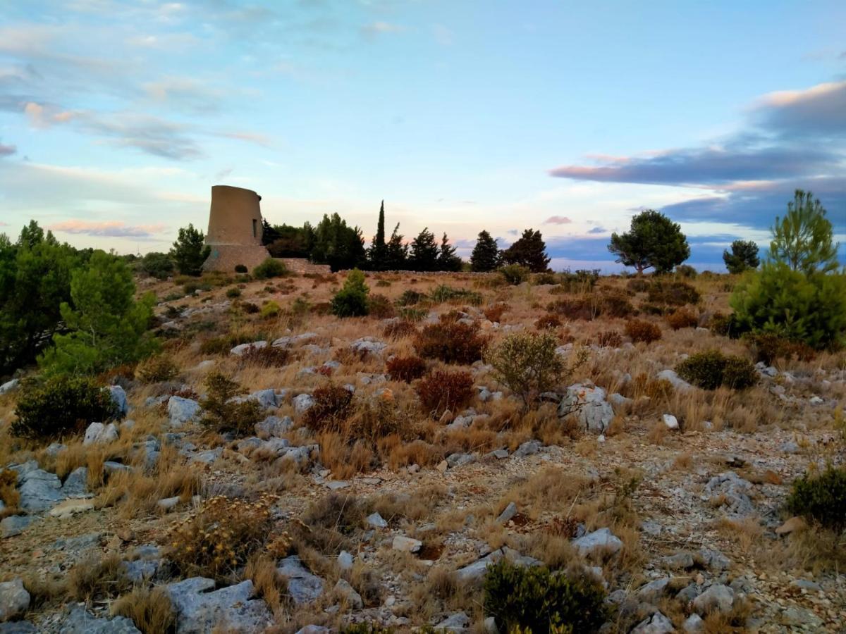 Paradis Des Randonneurs Roquefort-des-Corbieres Екстер'єр фото